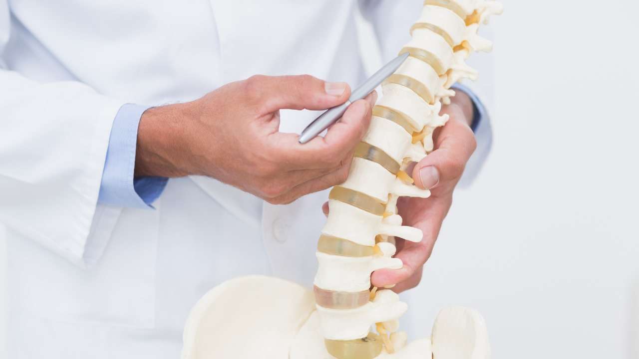 Spine Serrvices